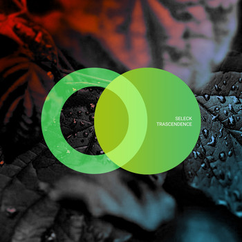 Seleck - Trascendence