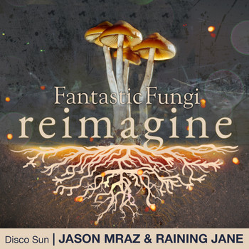 Jason Mraz, Raining Jane - Disco Sun (Fantastic Fungi: Reimagine)