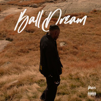 LieVin - Ball Dream