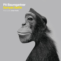 Pit Baumgartner - Sample Selfie