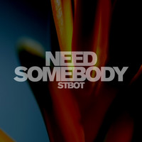 Stbot - Need Somebody