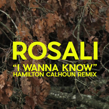 RosaLi - I Wanna Know (Hamilton Calhoun Remix)