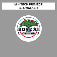 MiniTech Project - Sea Walker