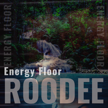 Roodee - Energy Floor
