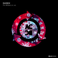 Sasek - The Meaning Of life