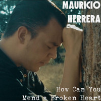 Mauricio Herrera - How Can You Mend a Broken Heart