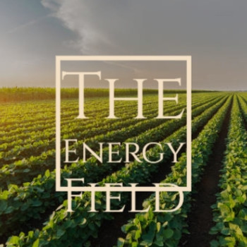 Various Artists - The Energy Field