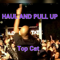 Top Cat - Haul and Pull Up