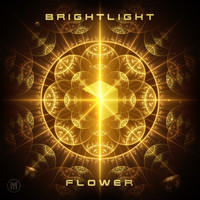 BrightLight - Flower