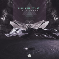 Lish and Mr.What? - In a Dream
