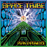 Space Tribe - Peak Experience