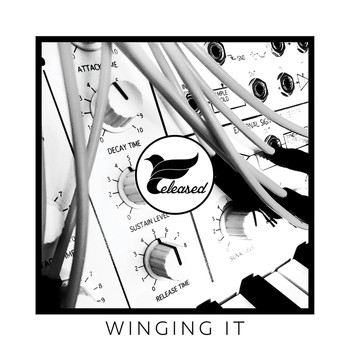 Various Artists - Winging It