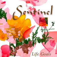Sentinel - Life Goals