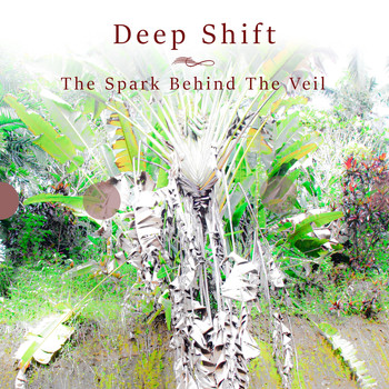 Deep Shift - The Spark Behind the Veil