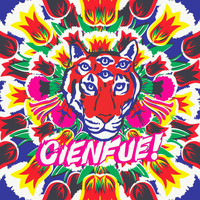 Cienfue - Life in the Tropics