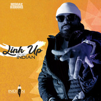 The Artist Indian - Link Up