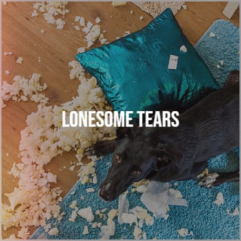 Various Artists - Lonesome Tears