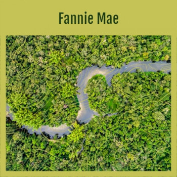 Various Artists - Fannie Mae