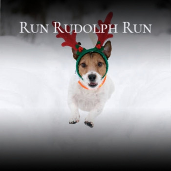 Various Artists - Run Rudolph Run