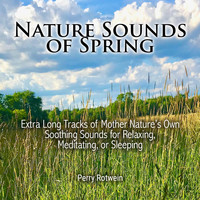 Perry Rotwein - Nature Sounds of Spring