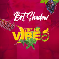 BRT SHADOW / - Vine And Vibes
