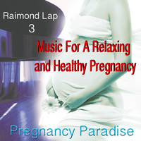 Raimond Lap - Pregnancy Paradise 3: Music for a Relaxing and Healthy Pregnancy