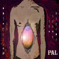 PAL - Objectives in the Inner Mirror