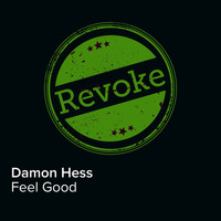 Damon Hess - Feel Good