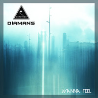 Diamans - Wanna Feel