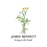 James Bennett - Strong in the Wind