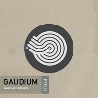 Gaudium - Wake Up