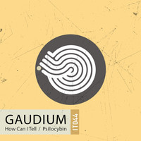Gaudium - Psilocybin