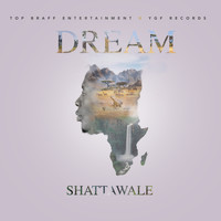 Shatta Wale - Dream