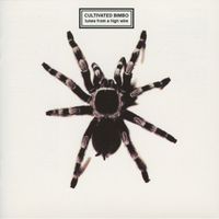 Cultivated Bimbo - Tunes From a High Wire