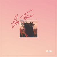 IDAM - Falling in Love
