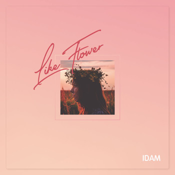 IDAM - Falling in Love