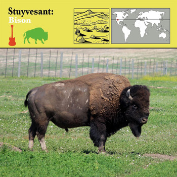 Stuyvesant - Bison