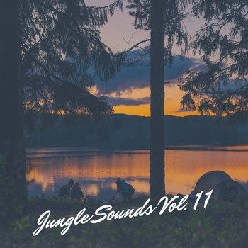 Various Artists - Jungle Sounds Vol. 11