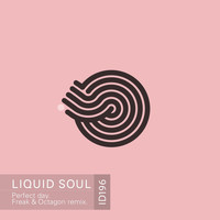 Liquid Soul - Perfect Day (Freak & Octagon Remix)
