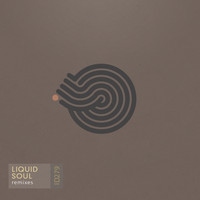 Liquid Soul - Remixes EP