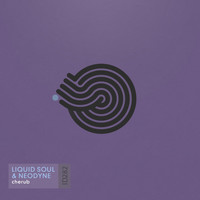 Liquid Soul and Neodyne - Cherub