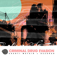 Shanti Matkin - Criminal Drug Evasion