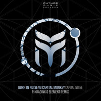 Burn In Noise and Capital Monkey - Capital Noise (Rinkadink & Element Remix)