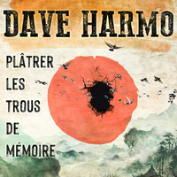 Dave Harmo - Plâtrer les trous de mémoire