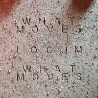 LA Priest - What Moves (Locum Edit)