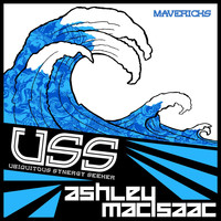 USS (Ubiquitous Synergy Seeker) - Mavericks (feat. Ashley MacIsaac)