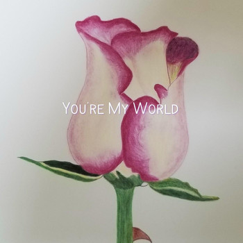 Anonymous - You're My World