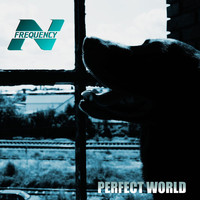 N-Frequency - Perfect World