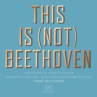 Arash Safaian, Sebastian Knauer & Zürcher Kammerorchester - Torso Belvedere