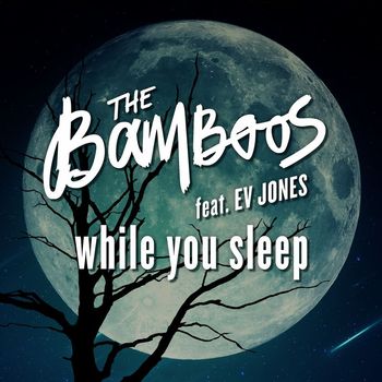 The Bamboos - While You Sleep (feat. Ev Jones)